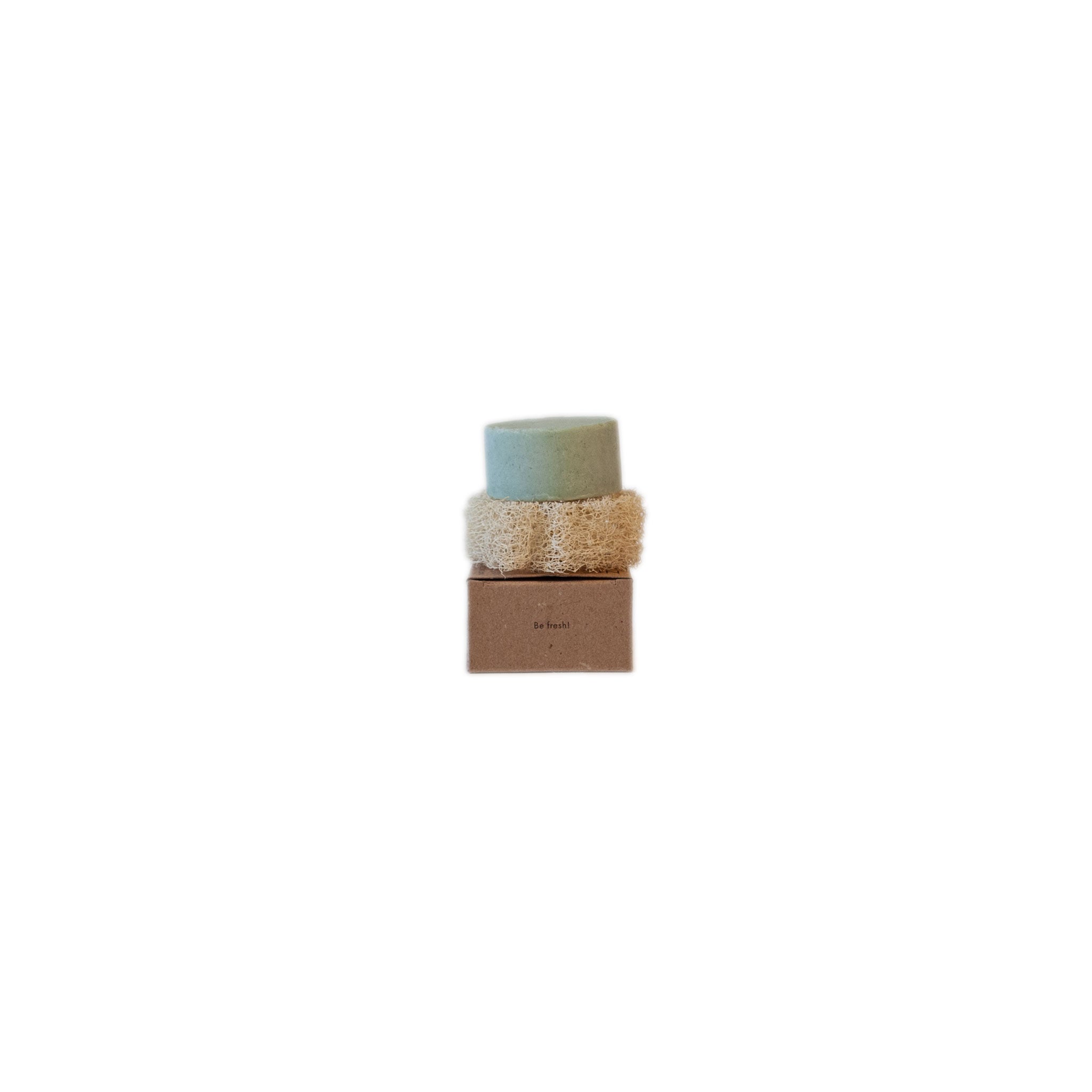 Luffa-Schwamm mit festem Shampoo und ökologischer Verpackung.
